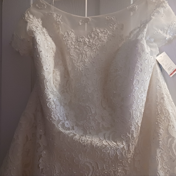Wedding Dress - Picture 4 of 7
